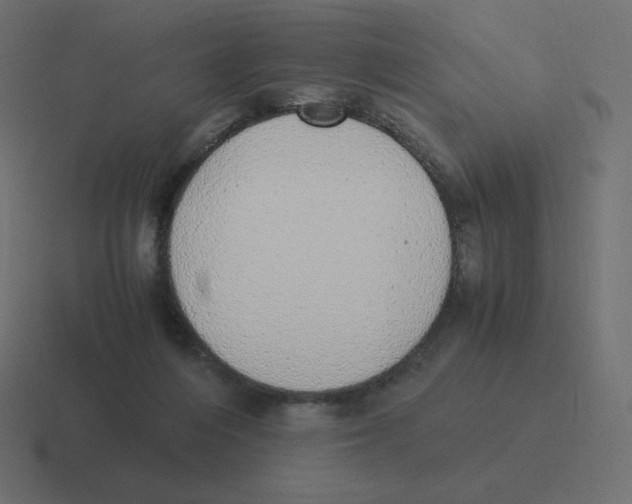 X0000116460216200912292013