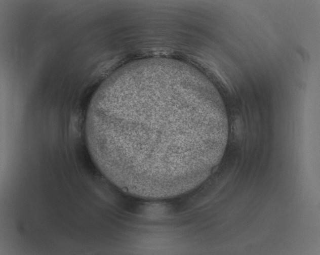 X0000116460218200912292013