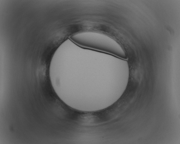 X0000116460219200912292013