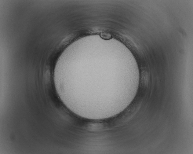 X0000116460220200912292013