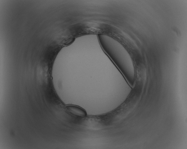 X0000116460223200912292013