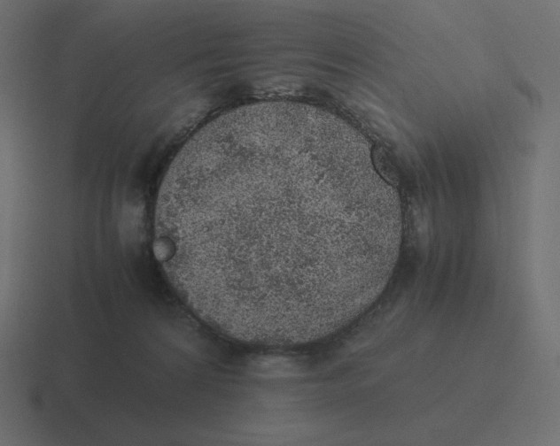 X0000116460224200912292013