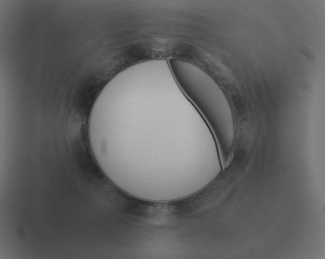 X0000116460225200912292013
