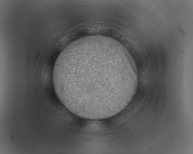 X0000116460226200912292013