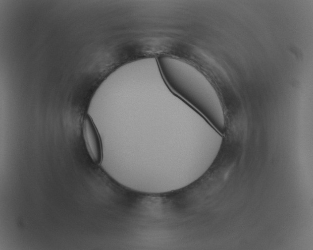 X0000116460227200912292013