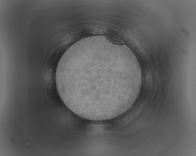 X0000116460228200912292013