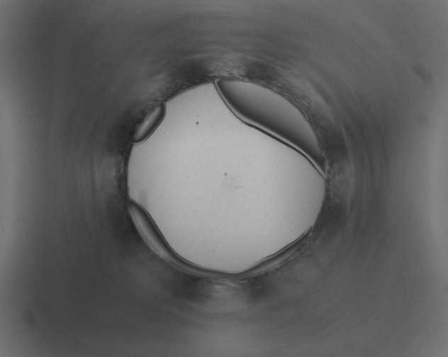 X0000116460229200912292013