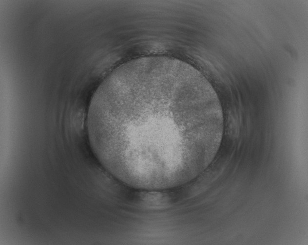 X0000116460230200912292013