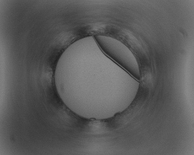 X0000116460231200912292013