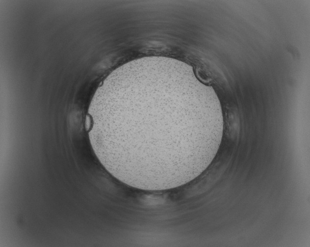 X0000116460232200912292013