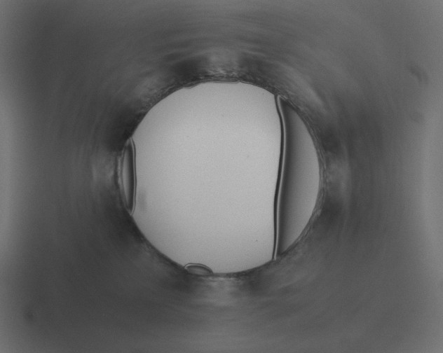 X0000116460233200912292013