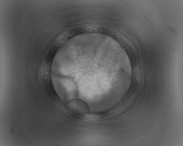 X0000116460234200912292013