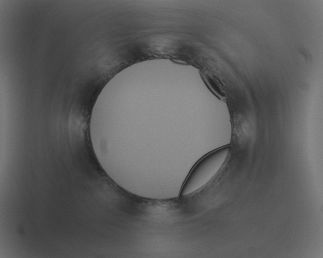 X0000116460235200912292013