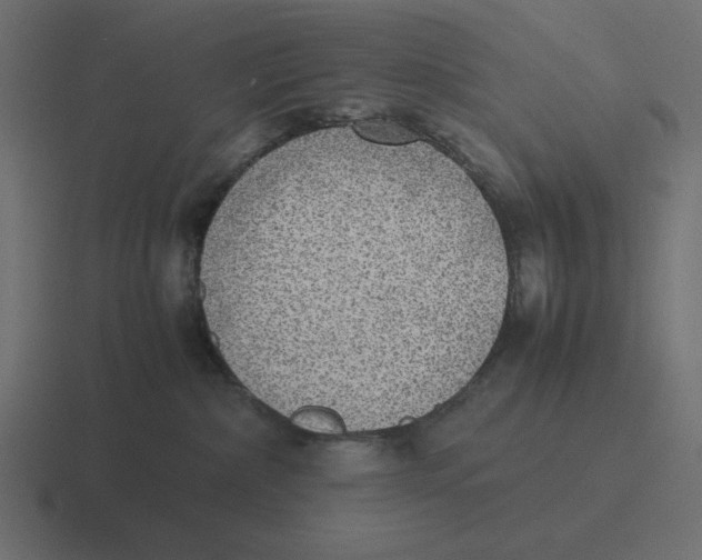 X0000116460236200912292013