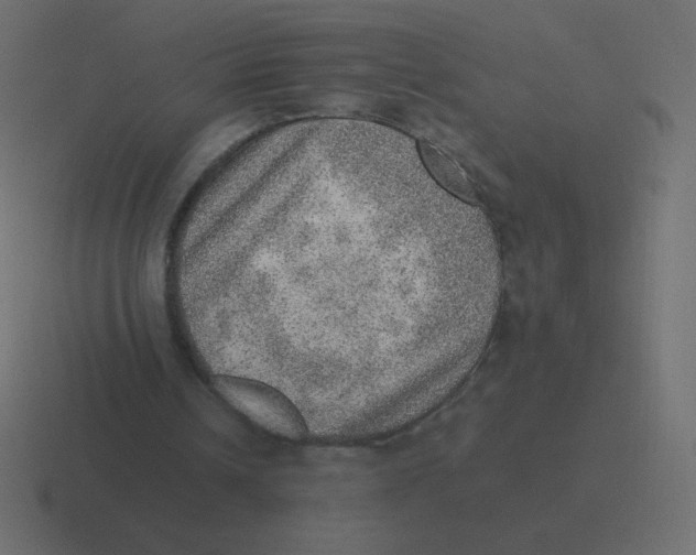 X0000116460242200912292012