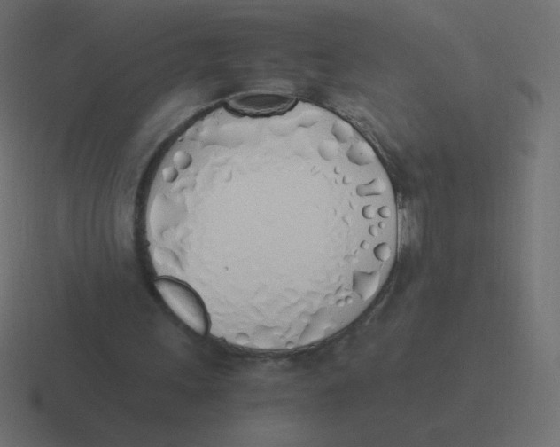 X0000116460243200912292012