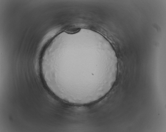 X0000116460245200912292012