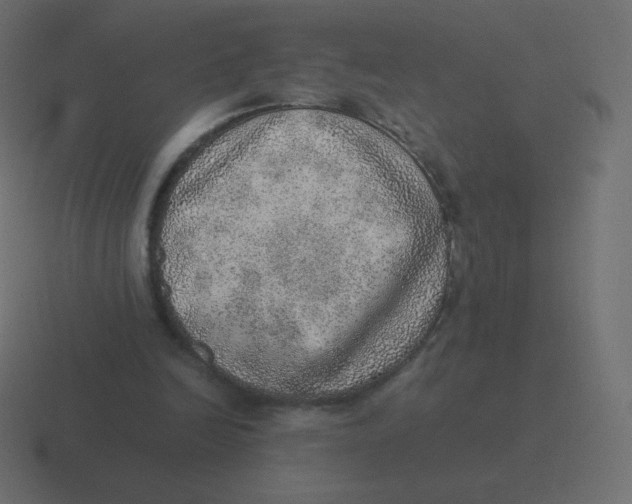 X0000116460246200912292012