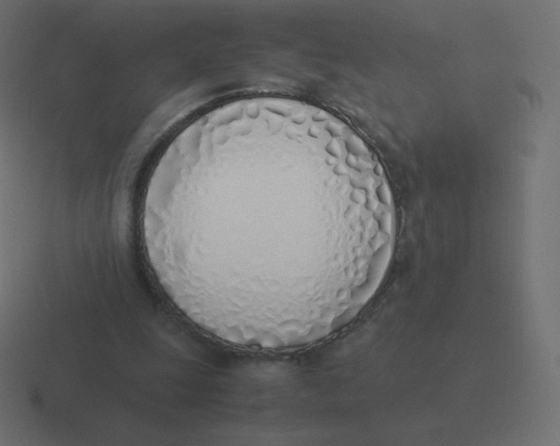 X0000116460247200912292013