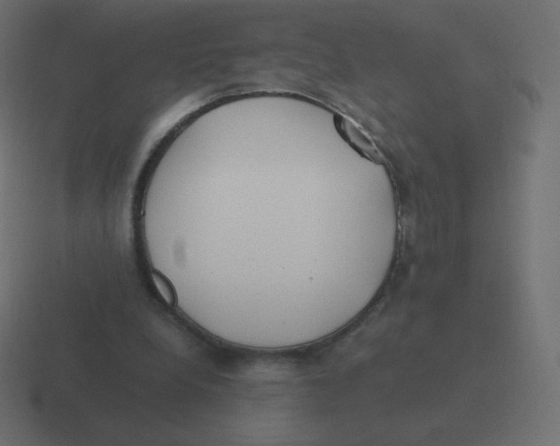 X0000116460248200912292013
