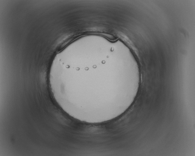 X0000116460249200912292013