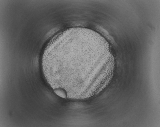 X0000116460250200912292013
