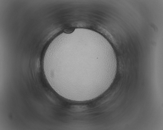 X0000116460251200912292013