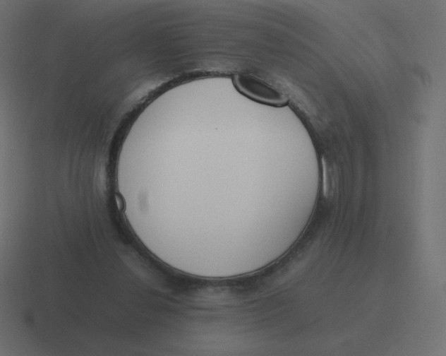 X0000116460252200912292013