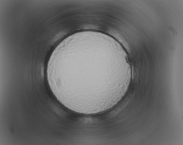 X0000116460253200912292013