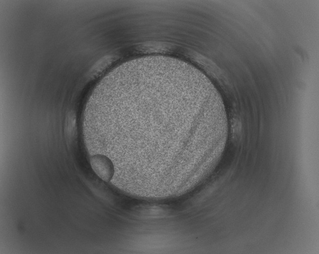 X0000116460254200912292013
