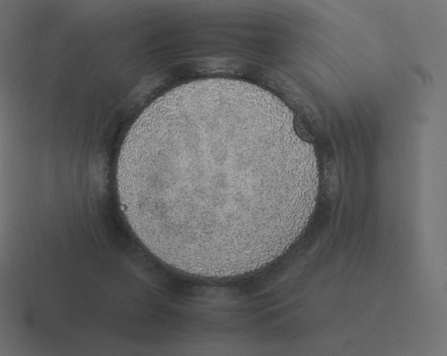 X0000116460255200912292013