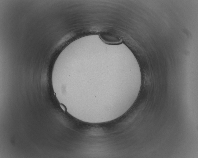 X0000116460256200912292013