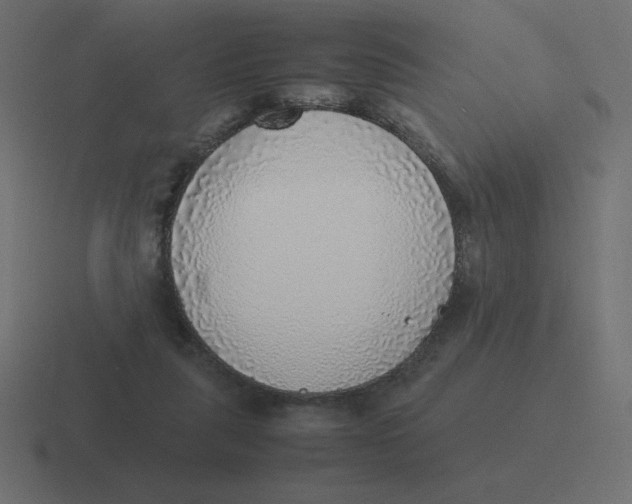 X0000116460259200912292013