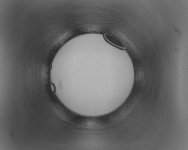 X0000116460264200912292013