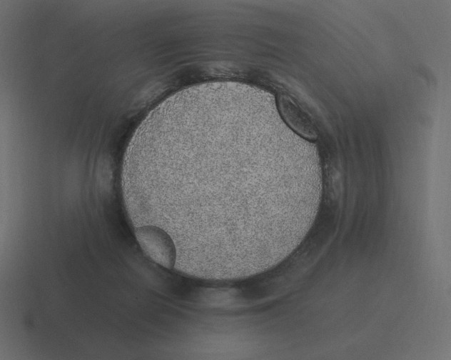 X0000116460266200912292013