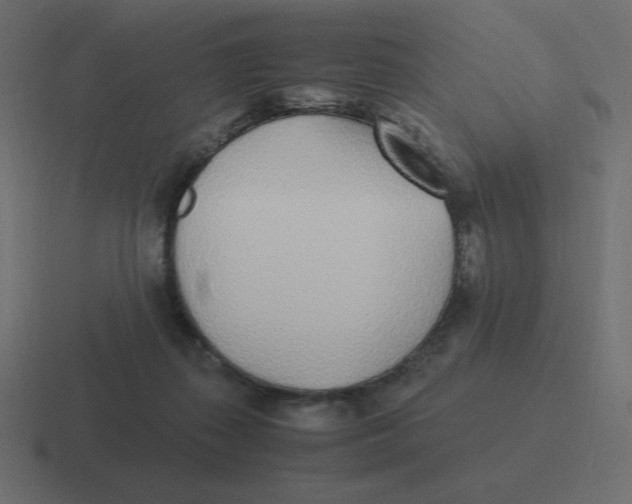 X0000116460267200912292013