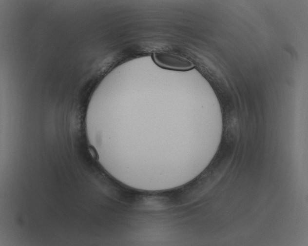 X0000116460268200912292013