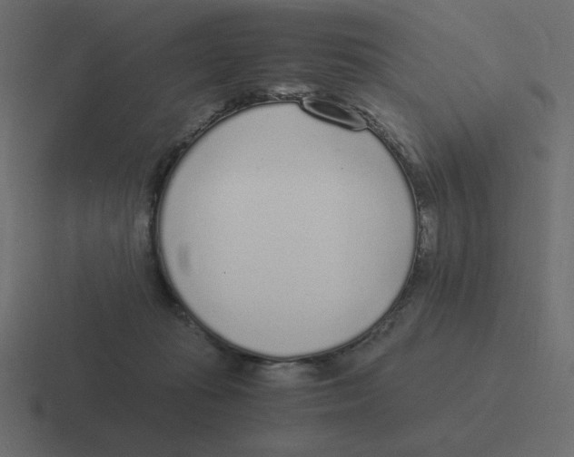 X0000116460269200912292013