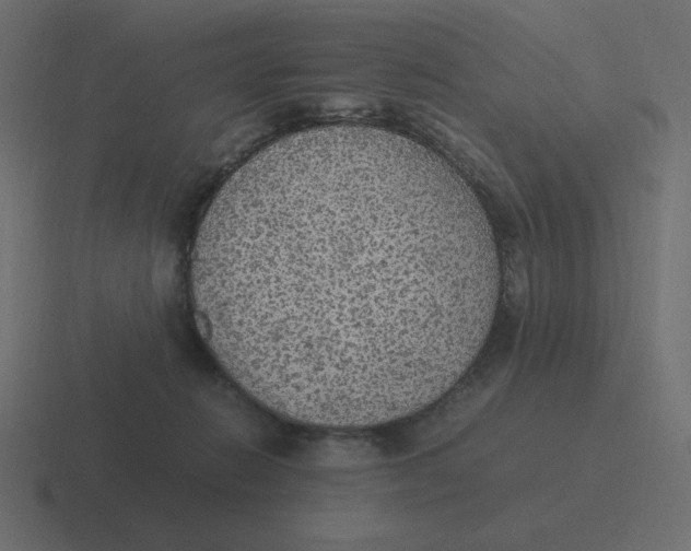 X0000116460270200912292013