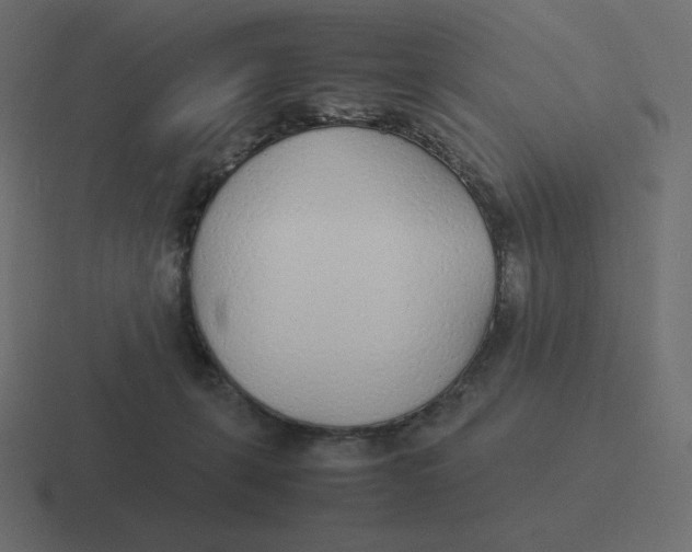 X0000116460271200912292013