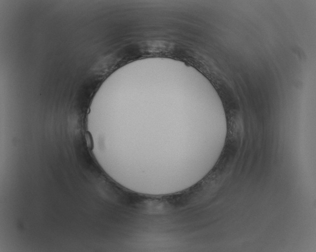 X0000116460272200912292013