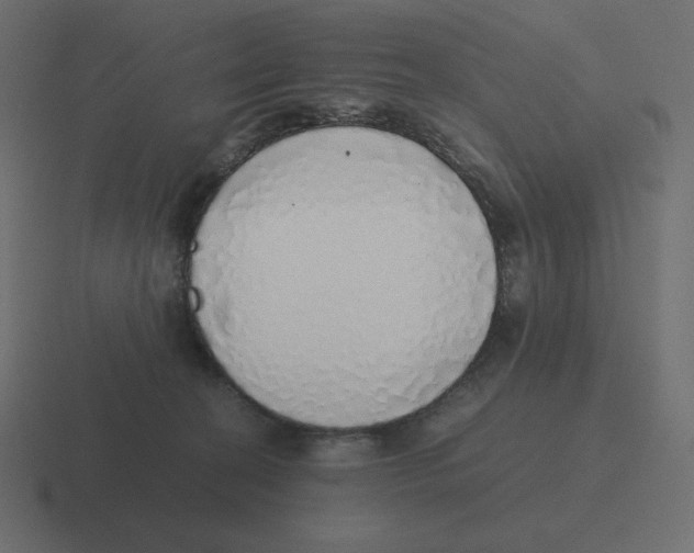 X0000116460274200912292013