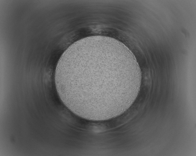 X0000116460275200912292013