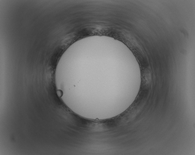 X0000116460276200912292013