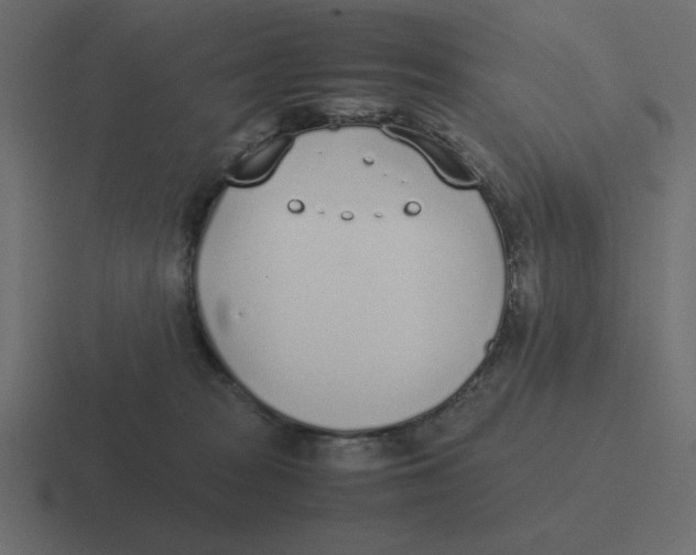 X0000116460277200912292013