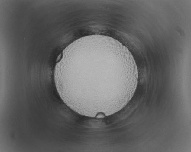 X0000116460279200912292013
