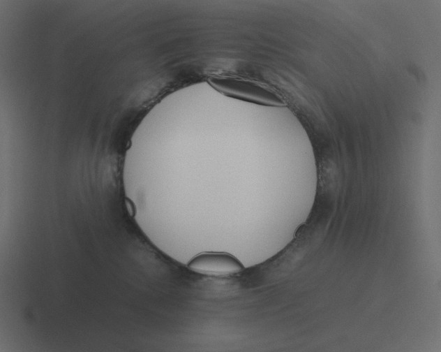 X0000116460280200912292013