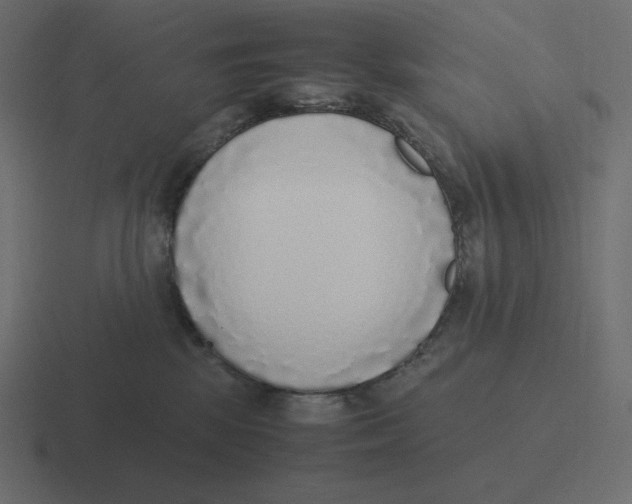 X0000116460281200912292013
