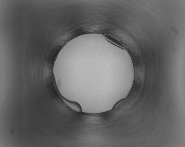 X0000116460284200912292013