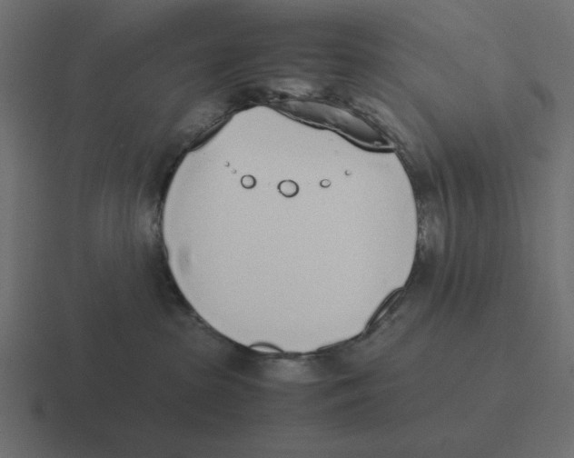 X0000116460285200912292013